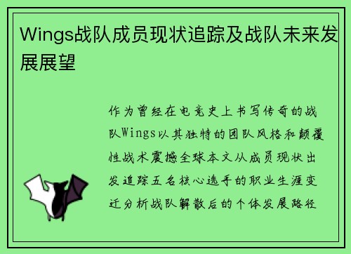 Wings战队成员现状追踪及战队未来发展展望
