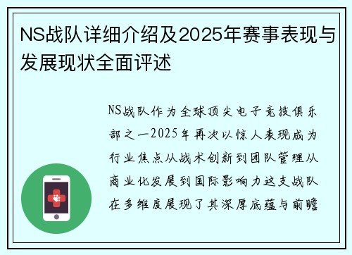 NS战队详细介绍及2025年赛事表现与发展现状全面评述